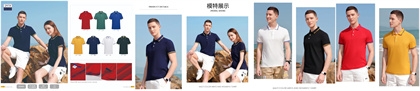 POLO,ϾPOLOƹS,ϾPOLOƹS